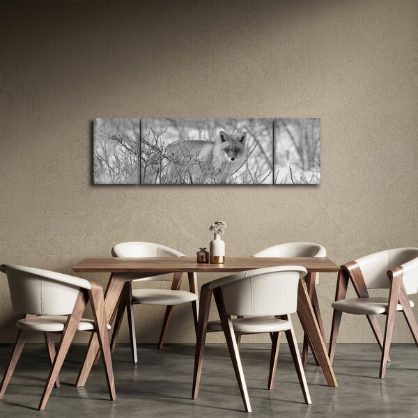 Obraz - Lišák, černobílá (170x50 cm)