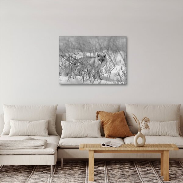 Obraz - Lišák, černobílá (70x50 cm)