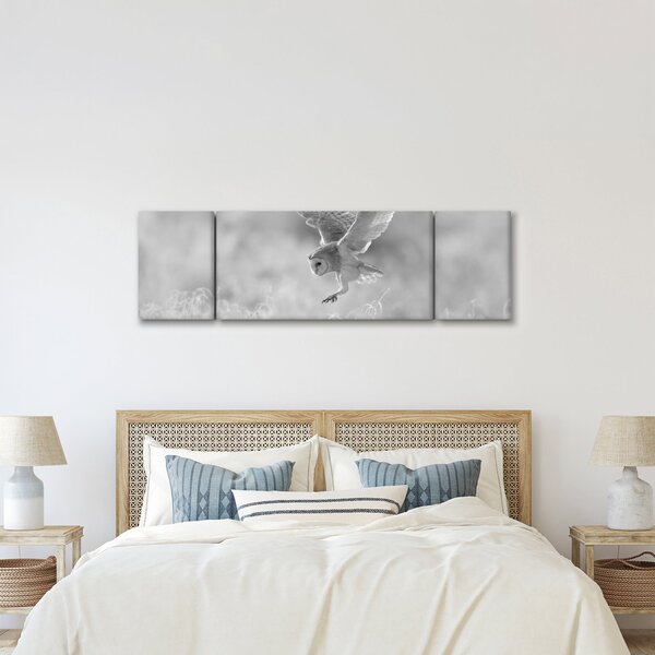 Obraz - Sova, černobílá (170x50 cm)