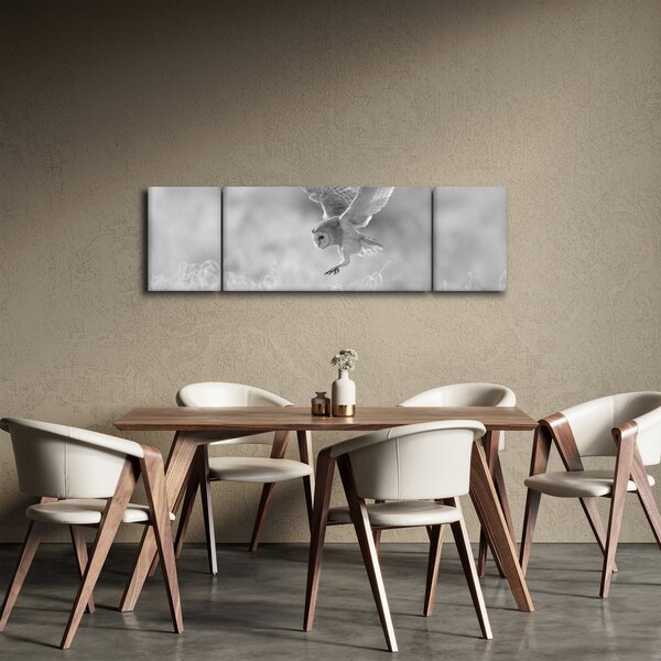 Obraz - Sova, černobílá (170x50 cm)