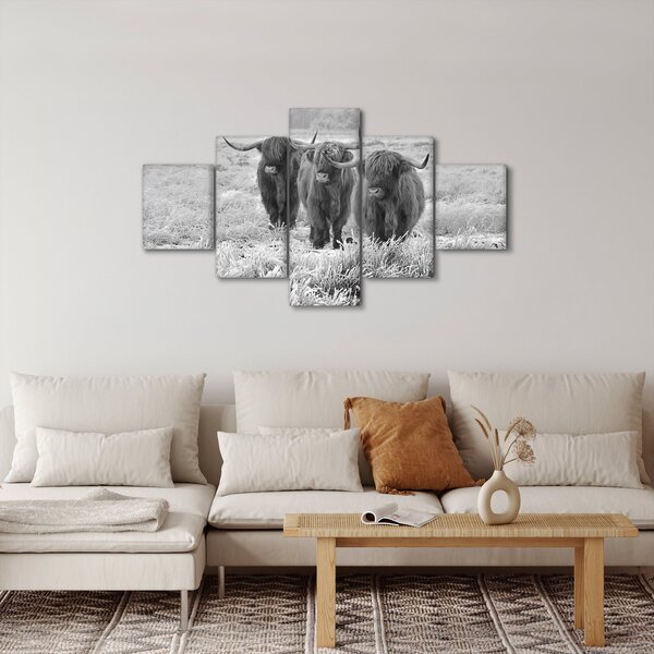 Obraz - Skotské krávy, černobílá (125x70 cm)