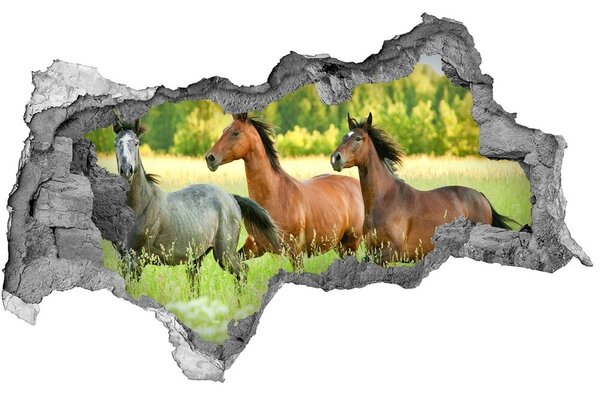 Díra 3D fototapeta nálepka Koně ve cvalu nd-b-58845191
