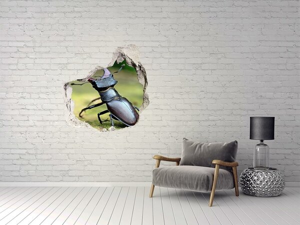 Díra 3D fototapeta na stěnu Brouk nd-p-111879118