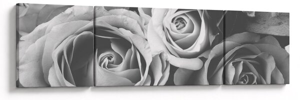 Obraz - Růže, černobílá (170x50 cm)