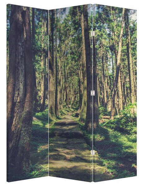 Paraván - Cesta mezi stromy (126x170 cm)