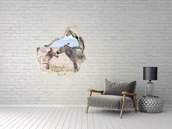 Díra 3D fototapeta na stěnu Zebry v horách nd-p-112483528