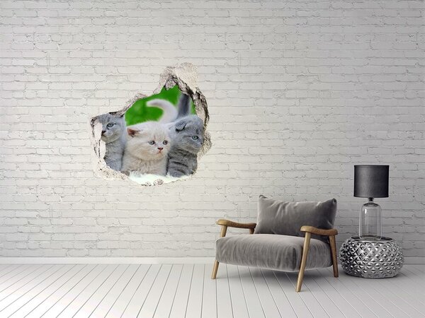 Díra 3D fototapeta nálepka Tři kočky na dece nd-p-112670236