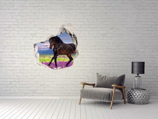 Fototapeta díra na zeď Kůň na poli levandule nd-p-113343357