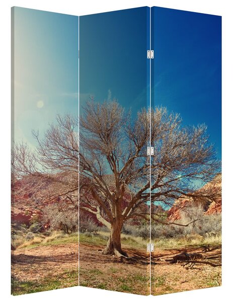 Paraván - Strom v poušti (126x170 cm)