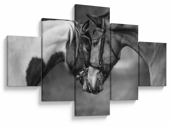 Obraz - Zamilovaní koni, černobílá (125x70 cm)