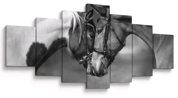 Obraz - Zamilovaní koni, černobílá (210x100 cm)