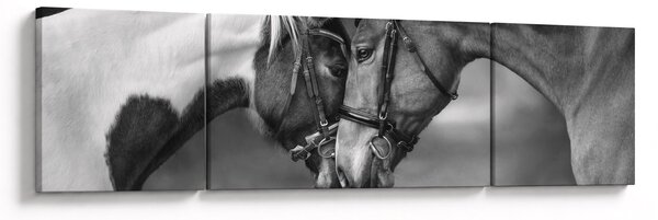 Obraz - Zamilovaní koni, černobílá (170x50 cm)