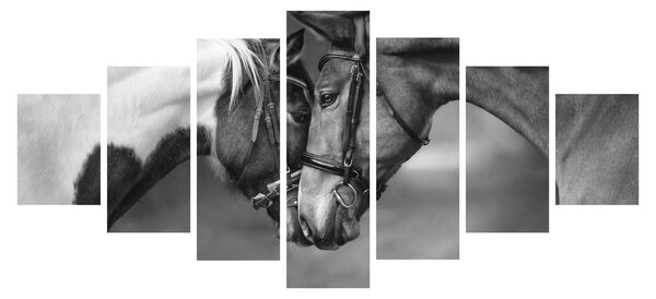 Obraz - Zamilovaní koni, černobílá (210x100 cm)