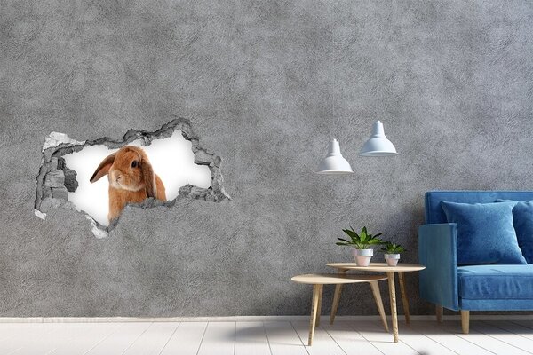Díra 3D fototapeta nálepka Červený králík nd-b-65984756
