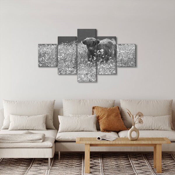Obraz - Skotská kráva 5, černobílá (125x70 cm)