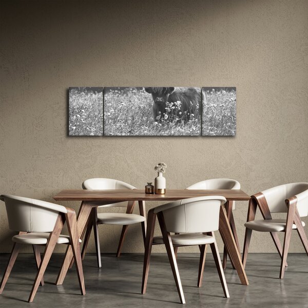 Obraz - Skotská kráva 5, černobílá (170x50 cm)