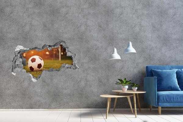 Fototapeta díra na zeď 3D Míč na hřišti nd-b-66115658