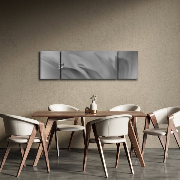 Obraz - Kapka na květu, černobílá (170x50 cm)