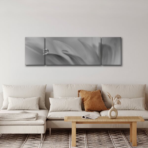 Obraz - Kapka na květu, černobílá (170x50 cm)