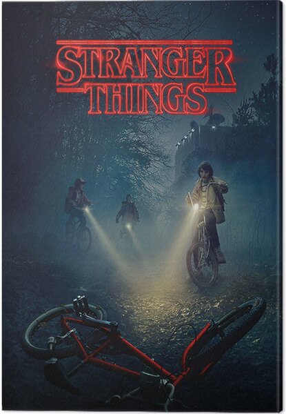 Obraz na plátně Stranger Things - Bike, (60 x 80 cm)
