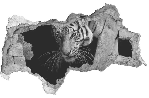 Díra 3D foto tapeta nálepka Tygr nd-b-89533463