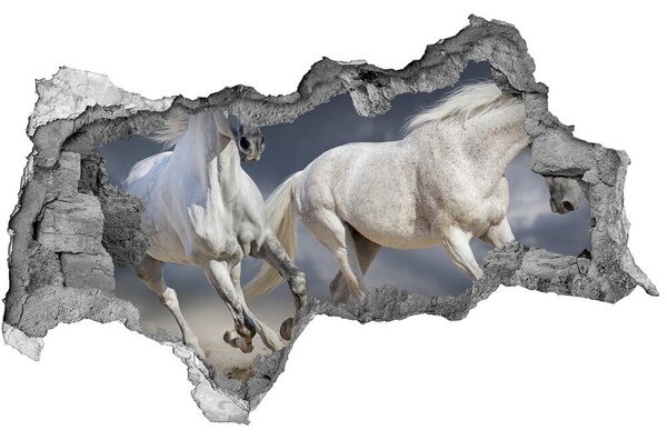 Díra 3D fototapeta na stěnu Bílí koně pláž nd-b-106869148