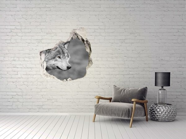 Díra 3D fototapeta na stěnu Šedý vlk nd-p-125421387