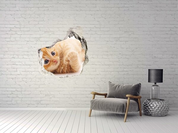 Díra 3D fototapeta nálepka Červená kočka nd-p-126034635