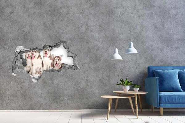 Díra 3D fototapeta nálepka Štěně Husky nd-b-110309501