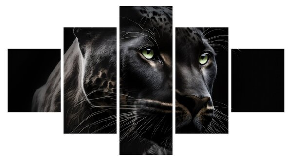 Obraz - Černý panter (125x70 cm)