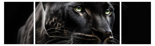 Obraz - Černý panter (170x50 cm)