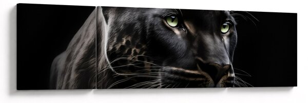 Obraz - Černý panter (170x50 cm)