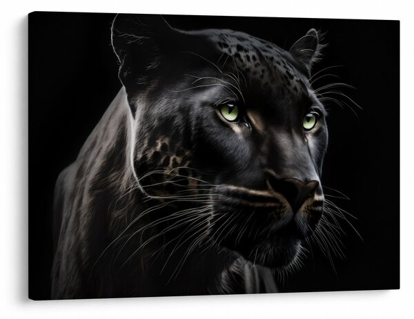 Obraz - Černý panter (70x50 cm)