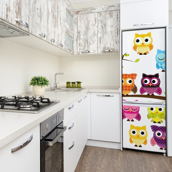 Nálepka fototapeta lednička Barevné sovy FridgeStick-70x190-f-67292446