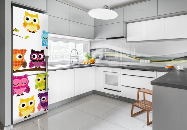 Nálepka fototapeta lednička Barevné sovy FridgeStick-70x190-f-67292446