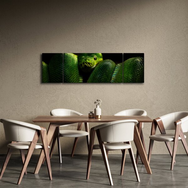 Obraz - Zelený had (170x50 cm)