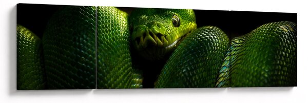 Obraz - Zelený had (170x50 cm)