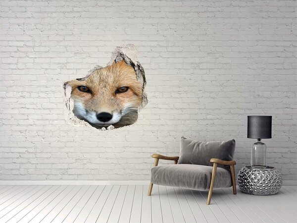 Díra 3D fototapeta na stěnu nálepka Liška nd-p-132631157