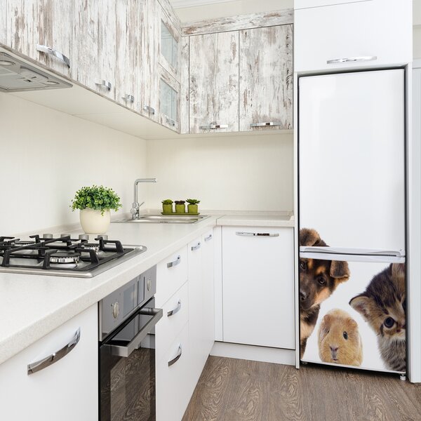 Nálepka fototapeta lednička Domácí zvířata FridgeStick-70x190-f-67306538