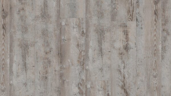 TARKETT Starfloor click ultimate 55 Bohemian pine grege 35991011 - 1.28 m2