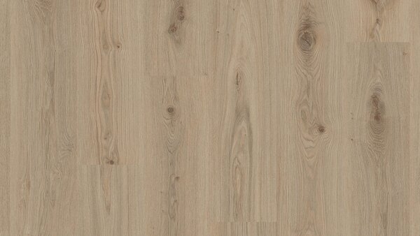 TARKETT Starfloor click ultimate 55 Delicate oak natural 35992023 - 1.28 m2