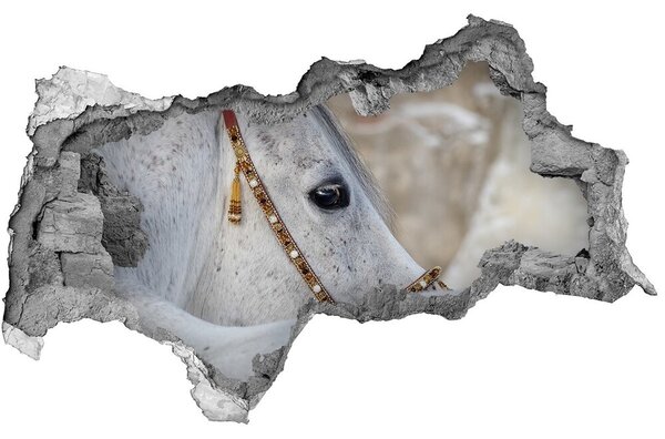 Díra 3D fototapeta nálepka Bílý arabský kůň nd-b-143185113