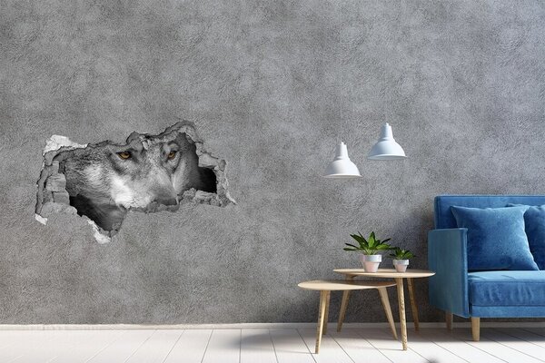 Díra 3D fototapeta na stěnu nálepka Vlk nd-b-103311727