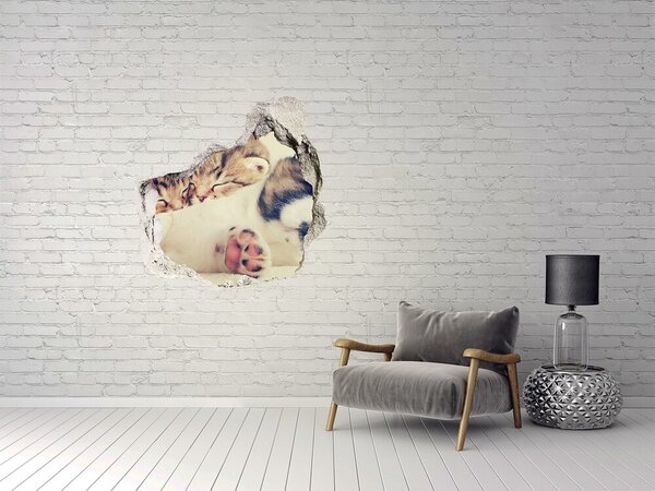 Díra 3D fototapeta na stěnu Dvě kočky a pes nd-p-78906407