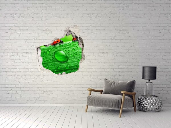 Díra 3D fototapeta Berušky na trávě nd-p-79213715