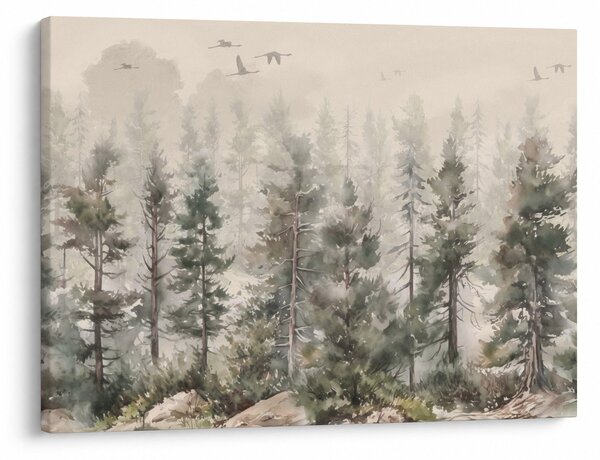 Obraz - Borovicový les I., aquarel (70x50 cm)