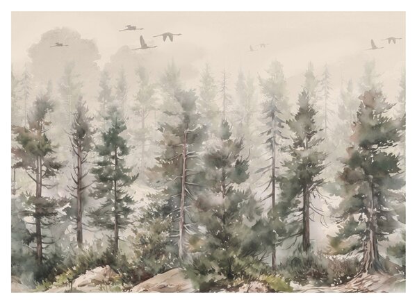 Obraz - Borovicový les I., aquarel (70x50 cm)