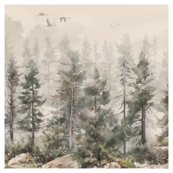 Obraz - Borovicový les I., aquarel (30x30 cm)