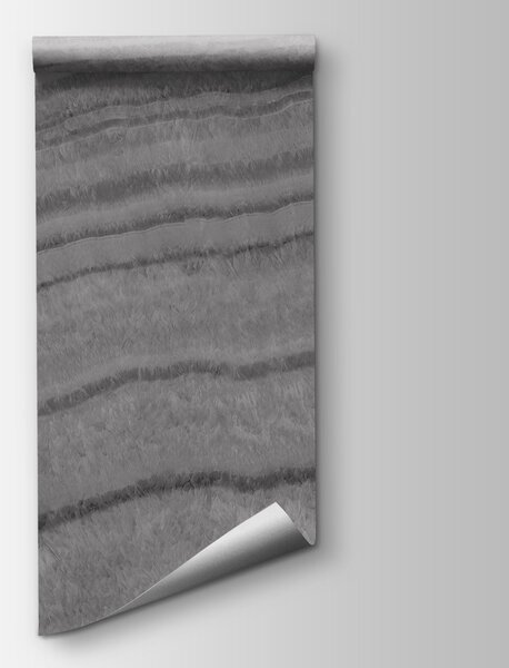 Fototapeta Přirozené vlny v černobílém provedení, Abstraktní fototapety, Populární fototapety, t00840v1 - Tapeko.co.cz