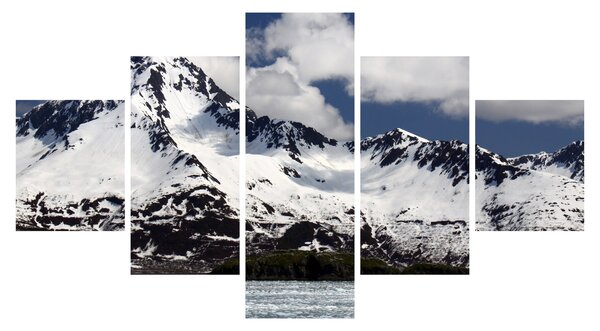 Obraz - Národní park Kenai Fjords (125x70 cm)